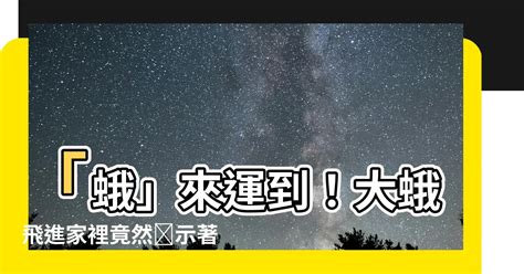 蛾飛進家裡|飛蛾飛到屋裡怎麼辦，家裡飛進飛蛾怎麼辦？